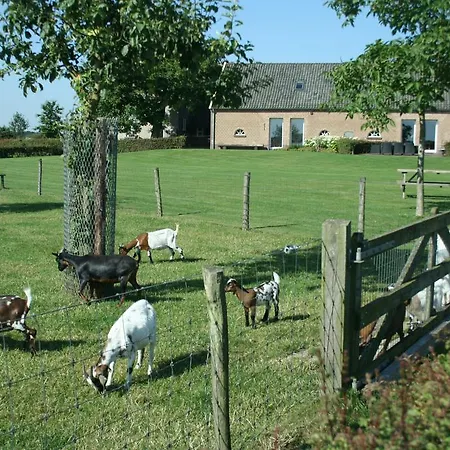 Bed & Breakfast De Eek Steenderen